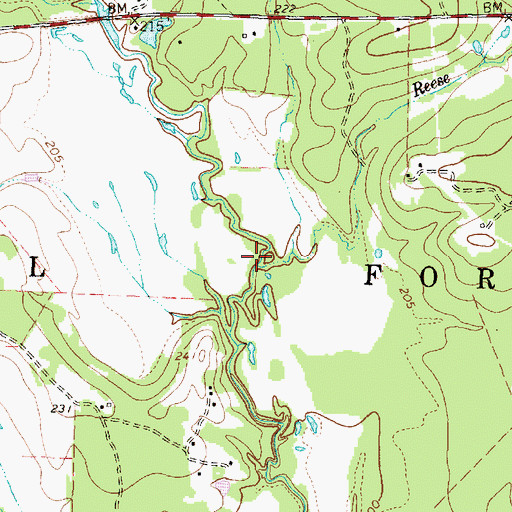 Topographic Map of Reese Branch, TX
