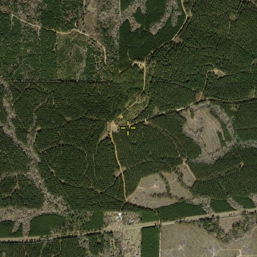 Aerial/Satellite Image of Rocky Mount Church, TX