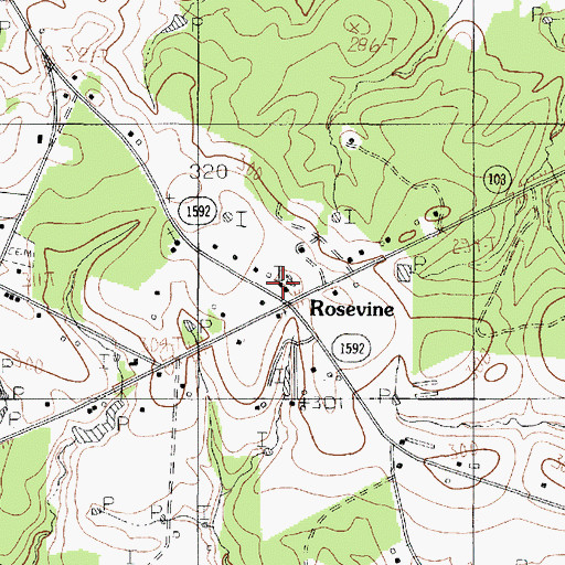 Topographic Map of Rosevine, TX