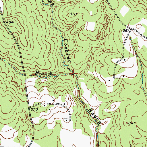 Topographic Map of Rye Spring Branch, TX