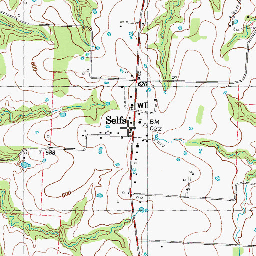 Topographic Map of Selfs, TX