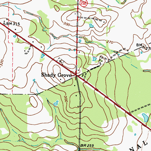 Topographic Map of Shady Grove, TX