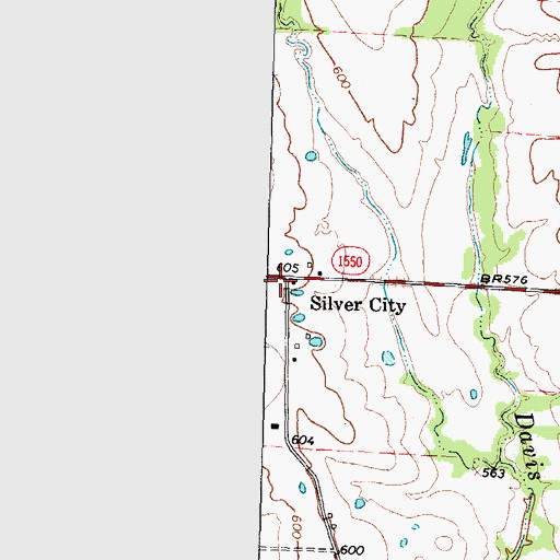Topographic Map of Silver City, TX