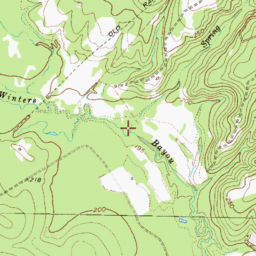 Topographic Map of Spring Branch, TX