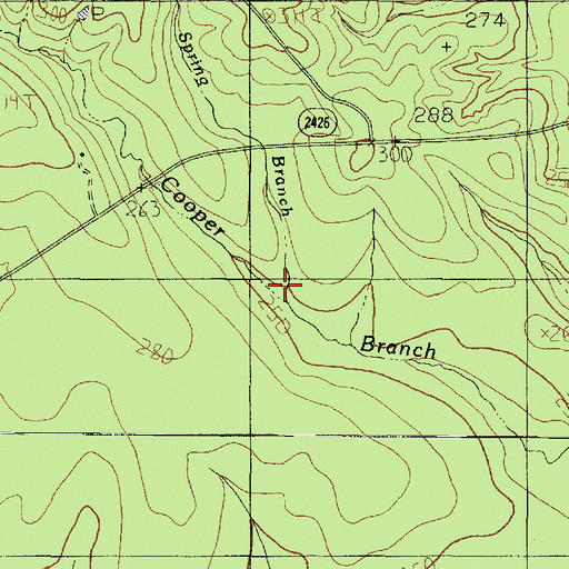 Topographic Map of Spring Branch, TX