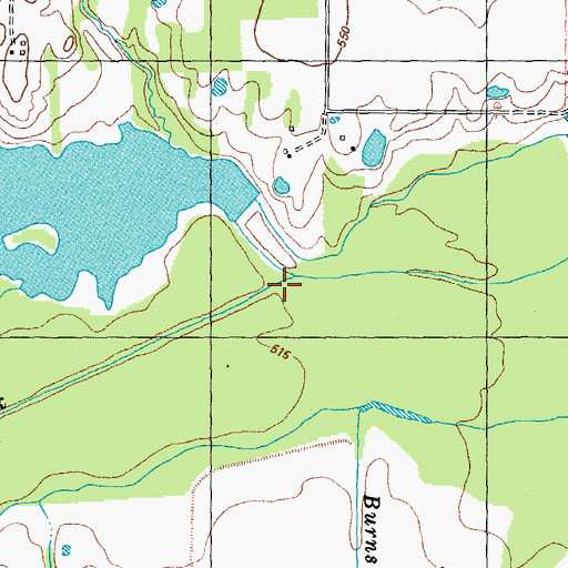 Topographic Map of Thomas Branch, TX