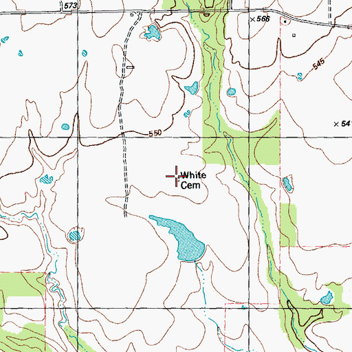 Topographic Map of White Cemetery, TX