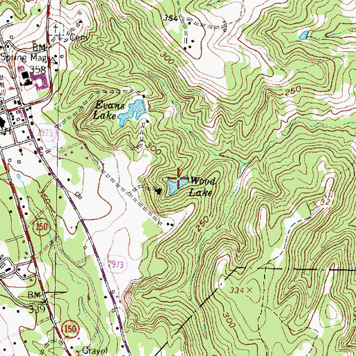 Topographic Map of Wood Lake, TX