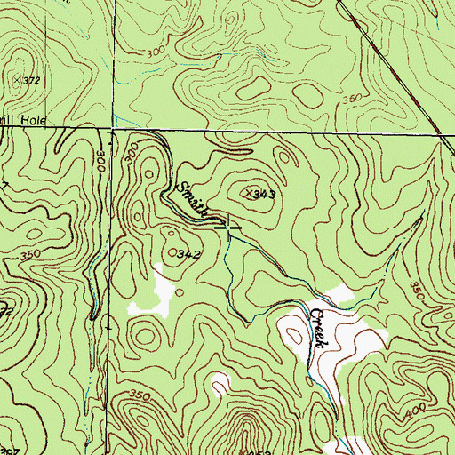 Topographic Map of Smith Creek, TX
