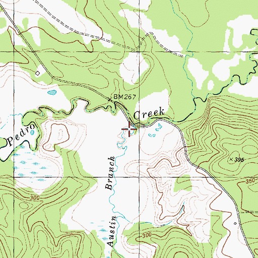 Topographic Map of Austin Branch, TX