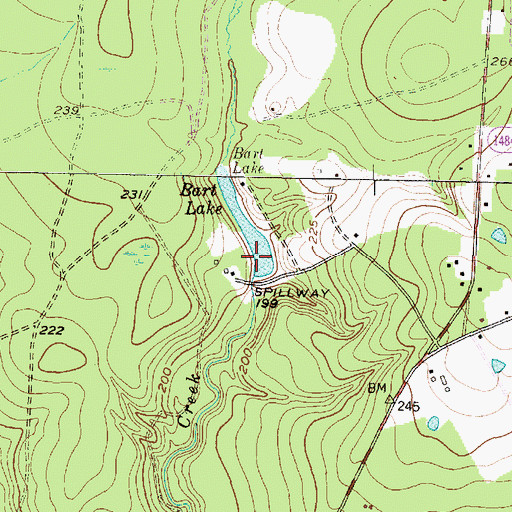 Topographic Map of Bart Lake, TX