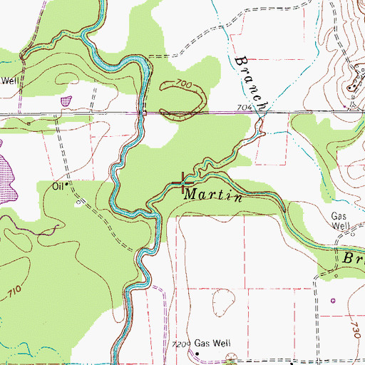 Topographic Map of Briar Branch, TX