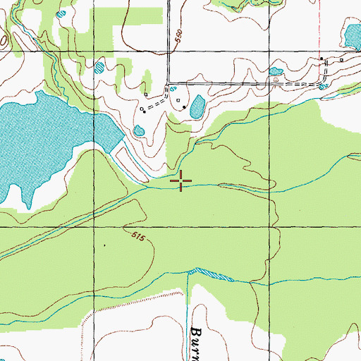 Topographic Map of Burns Branch, TX