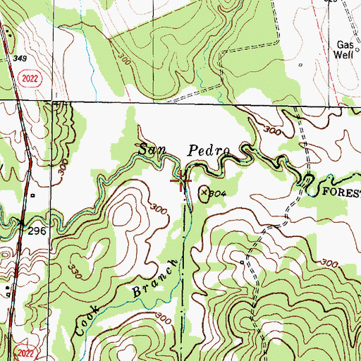 Topographic Map of Cook Branch, TX