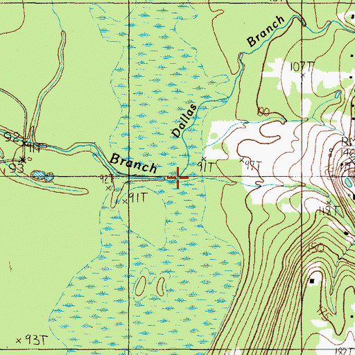 Topographic Map of Dallas Branch, TX