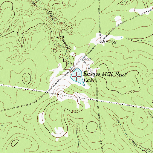 Topographic Map of Easam Mill Seat Lake, TX