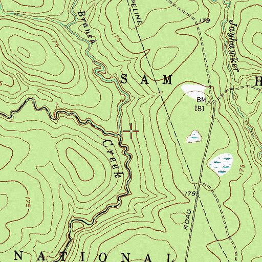 Topographic Map of Gum Branch, TX