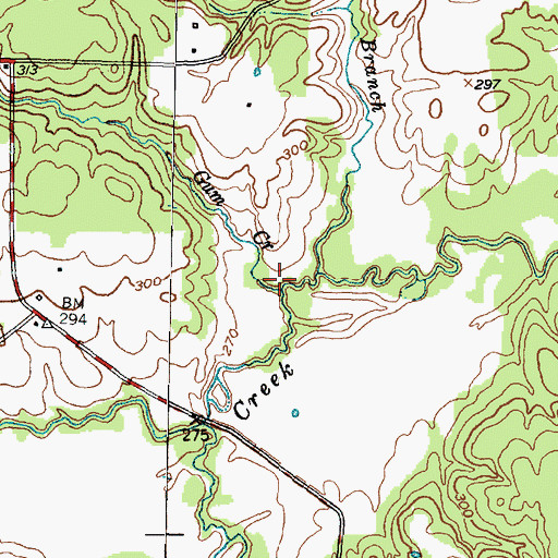 Topographic Map of Gum Creek, TX