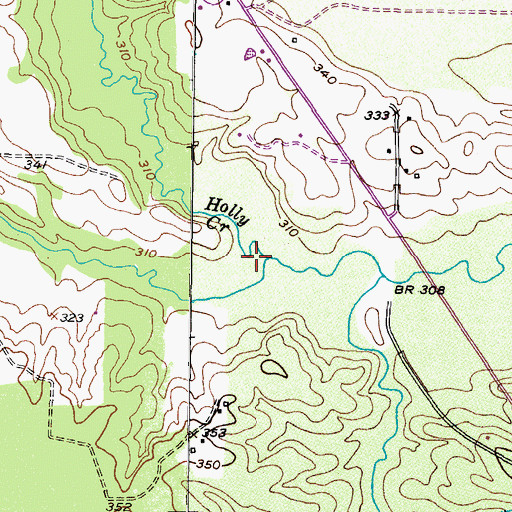 Topographic Map of Holly Creek, TX
