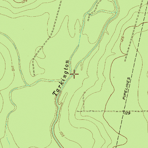 Topographic Map of Marsh Branch, TX
