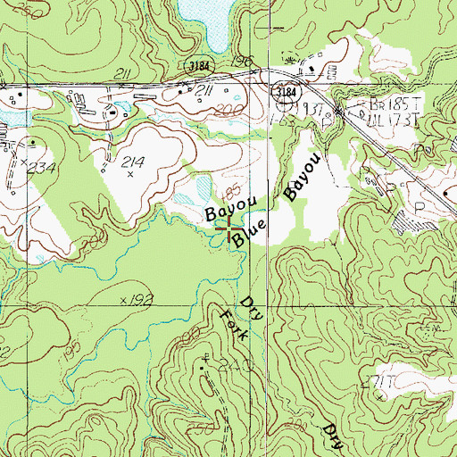 Topographic Map of North Bayou Blue, TX