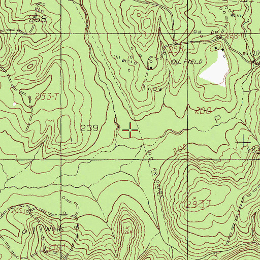 Topographic Map of Oil Springs Branch, TX