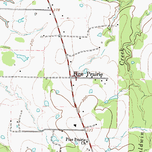 Topographic Map of Pine Prairie, TX