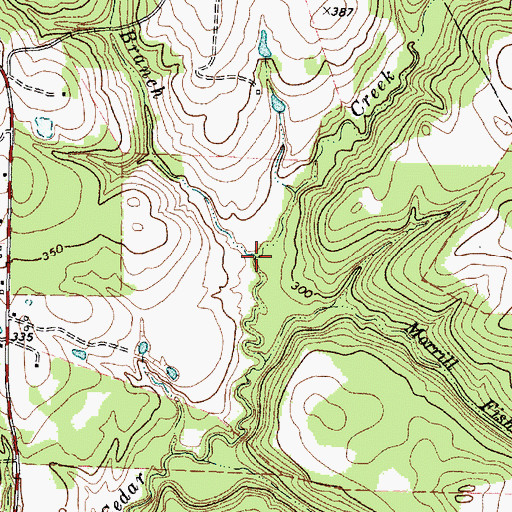 Topographic Map of Shaw Branch, TX