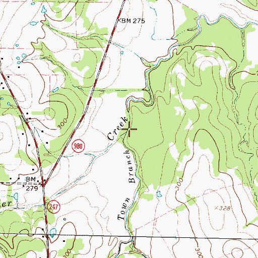 Topographic Map of Town Branch, TX