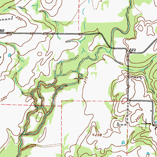 Topographic Map of Spring Branch, TX