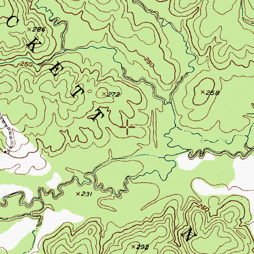 Topographic Map of Camp Four (historical), TX