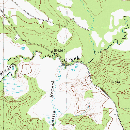 Topographic Map of Davis Creek, TX