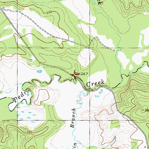 Topographic Map of Glover Bridge, TX