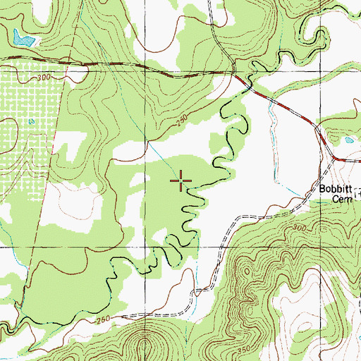 Topographic Map of Copperas Branch, TX