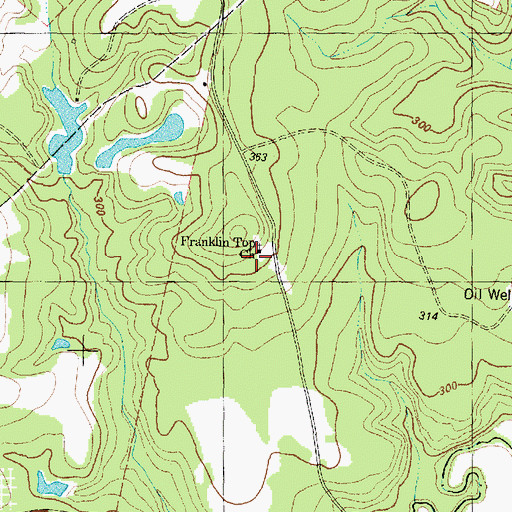 Topographic Map of Copperas Branch School, TX