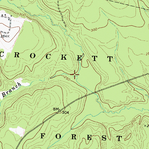 Topographic Map of Boggy Glade Branch, TX