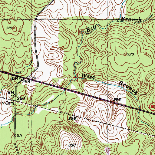 Topographic Map of Wise Branch, TX
