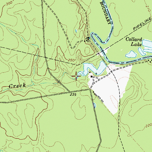 Topographic Map of Bluff Creek, TX