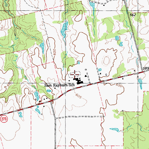 Topographic Map of Sam Rayburn High School, TX