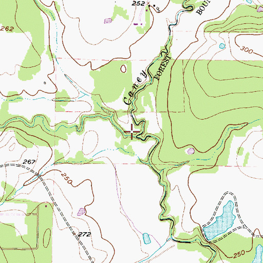 Topographic Map of Little Caney Creek, TX