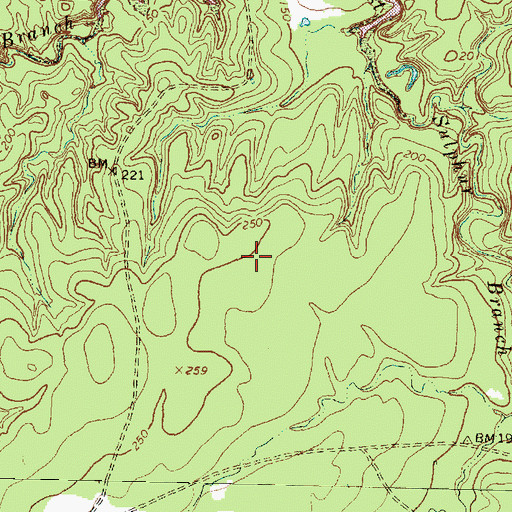Topographic Map of East Sulphur Branch, TX