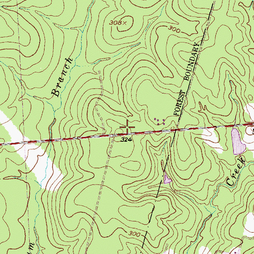 Topographic Map of Raven District Ranger Station, TX