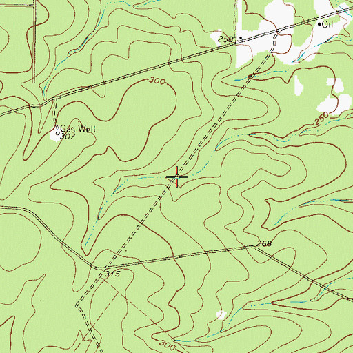 Topographic Map of Lone Star Trail Primitive Camp Number Two, TX