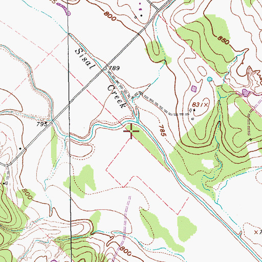 Topographic Map of Sisal Creek, TX