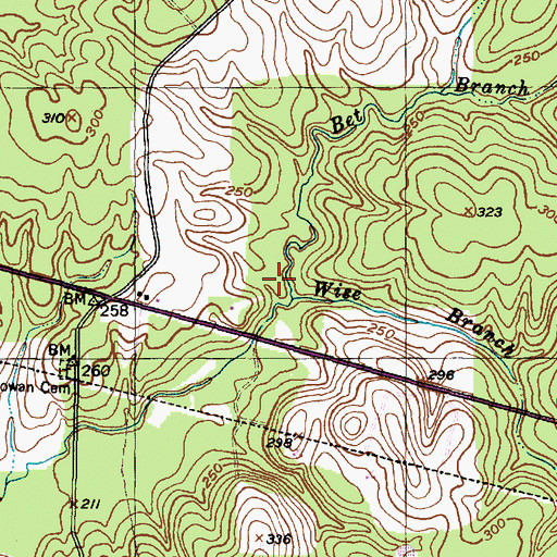 Topographic Map of Bet Branch, TX