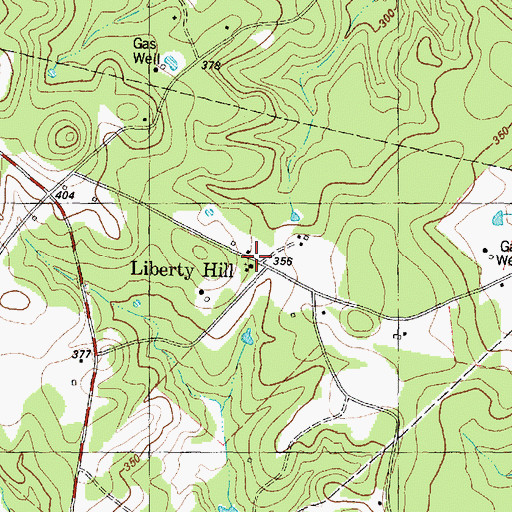 Topographic Map of Liberty Hill, TX