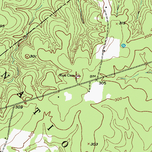 Topographic Map of Rice Cemetery, TX