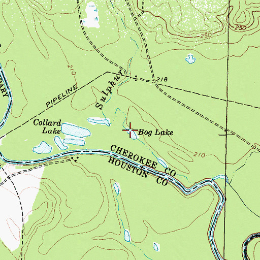 Topographic Map of Bog Lake, TX