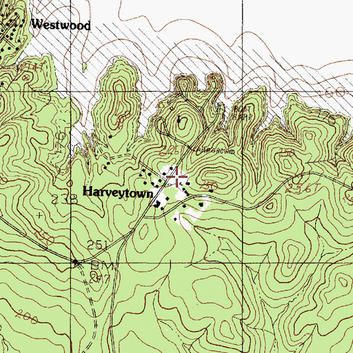 Topographic Map of Letney Recreation Site, TX