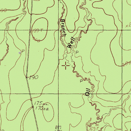 Topographic Map of Salt Branch, TX